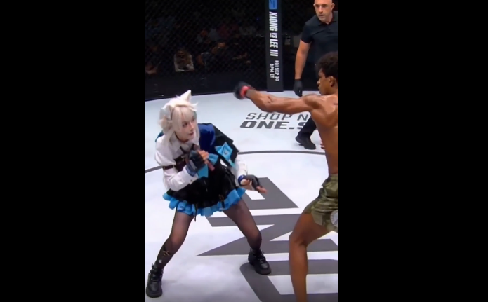 MMAの海外の反応