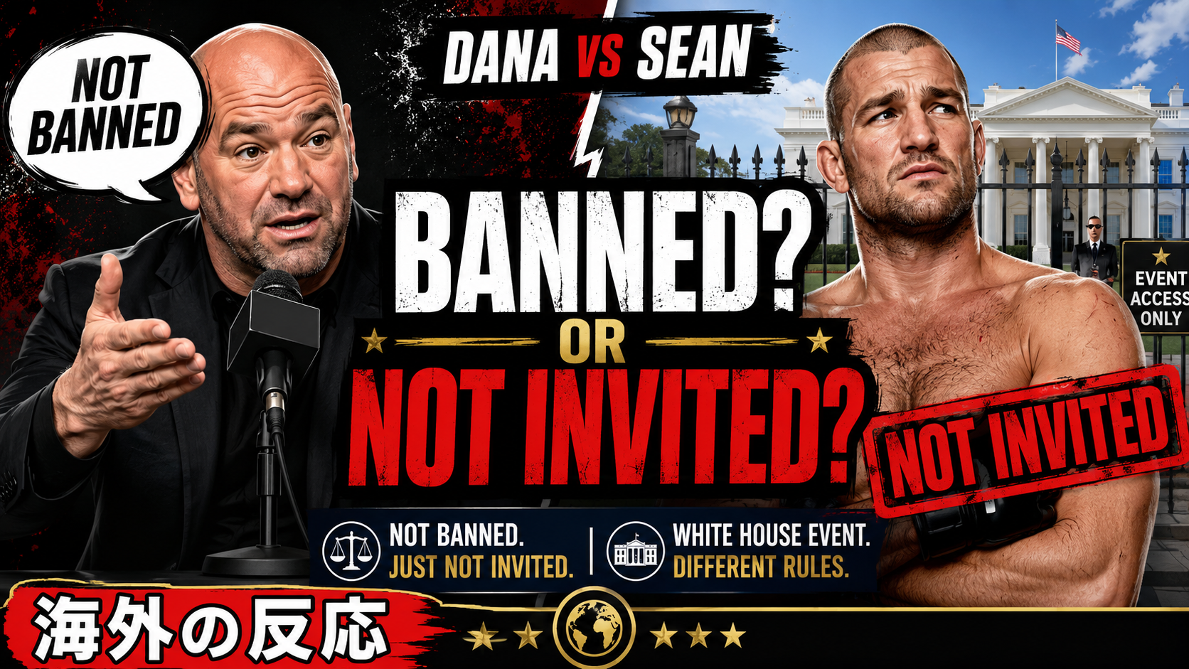 MMAの海外の反応